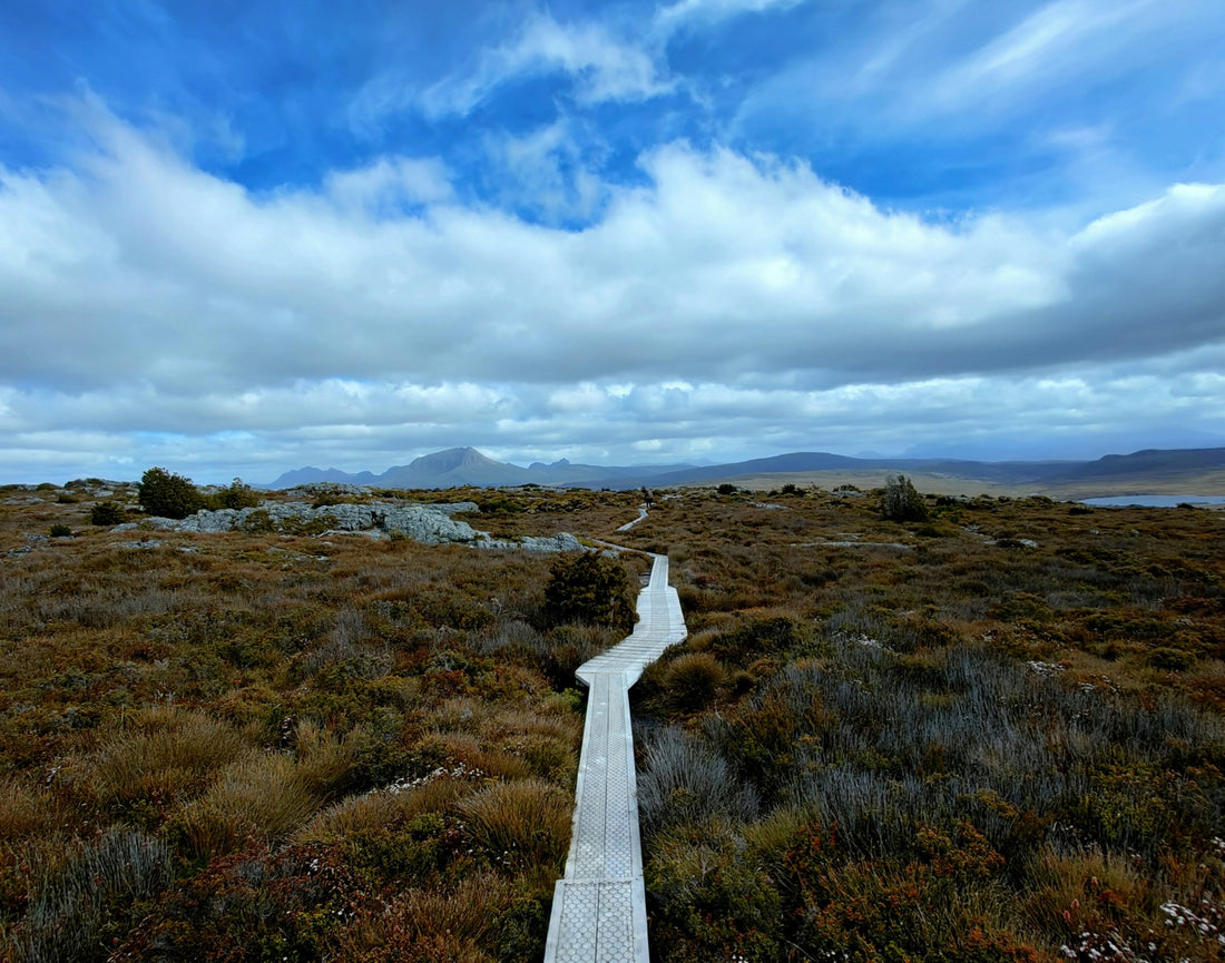 Adventure time on the Overland Track